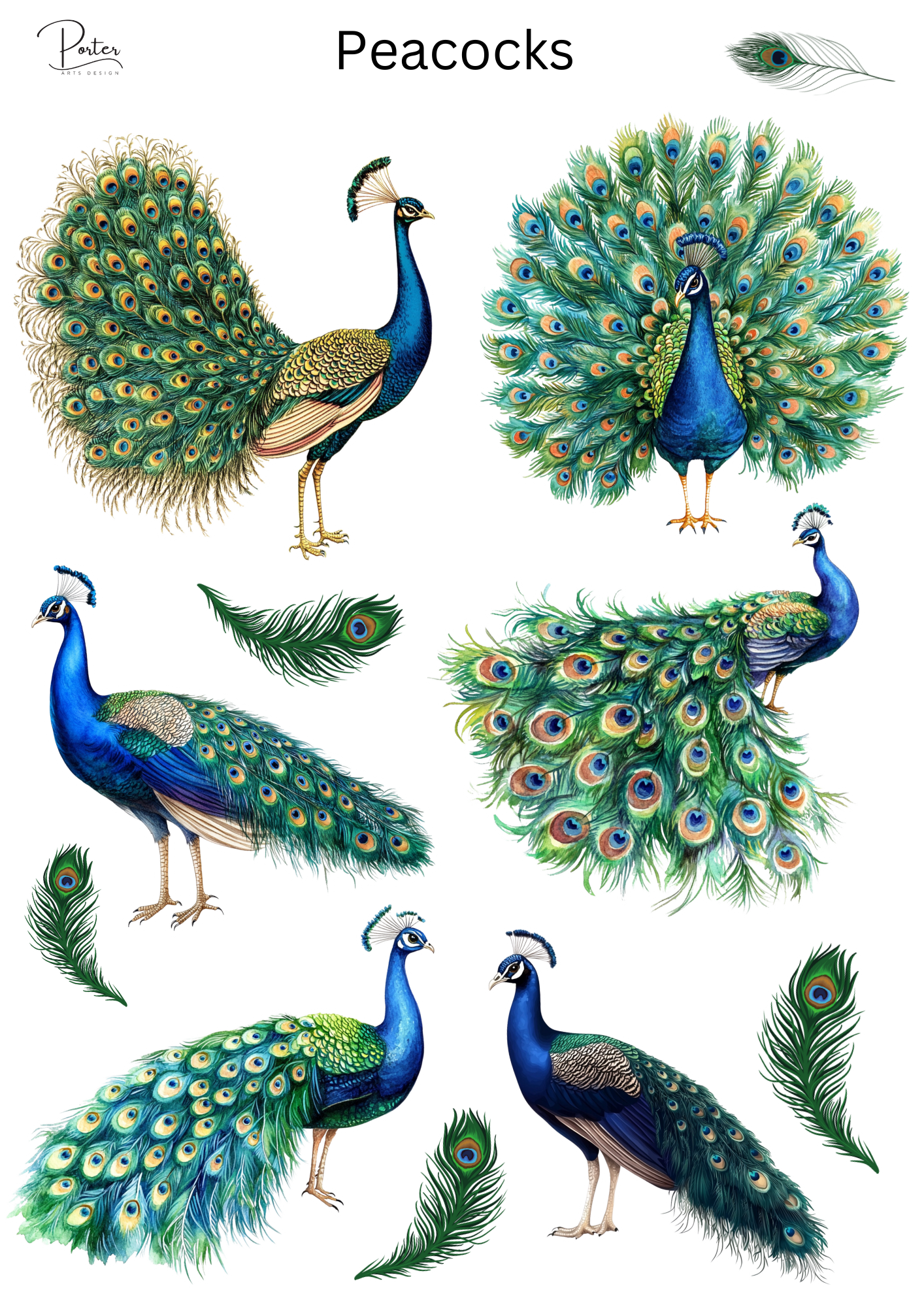 *PRINTABLE* Peacocks Stickers
