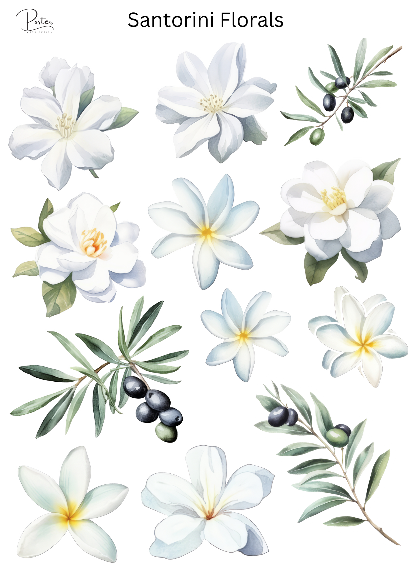 *TANGIBLE* Santorini Florals Sticker
