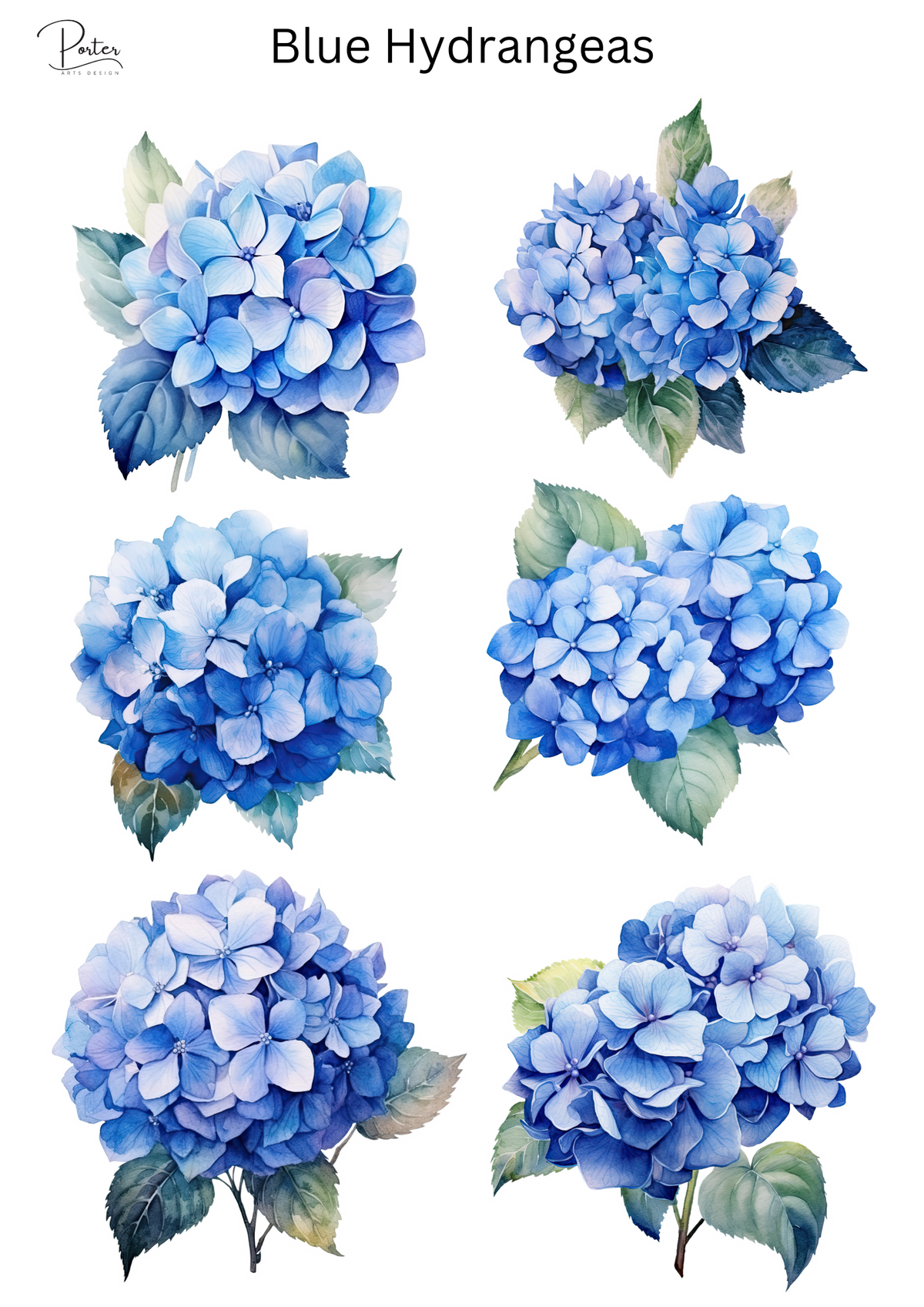 *PRINTABLE* Blue Hydrangeas Sticker – Porter Arts Design