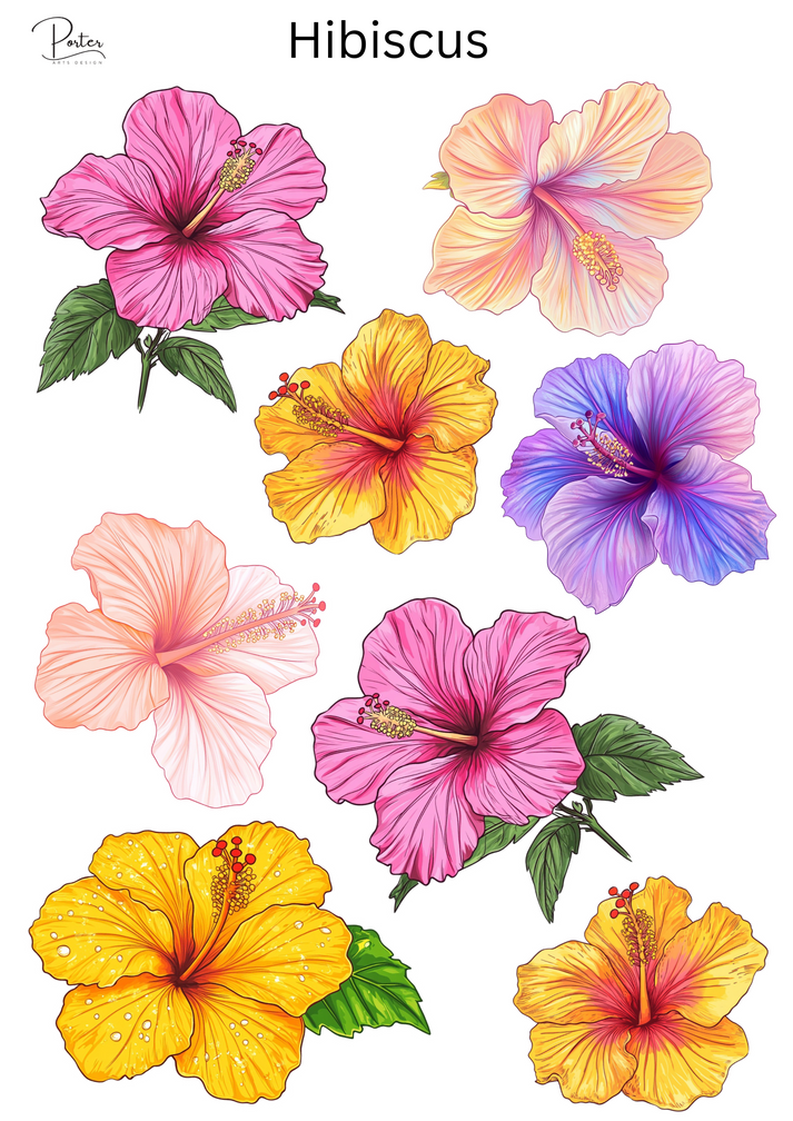 *TANGIBLE* Hibiscus Sticker – Porter Arts Design