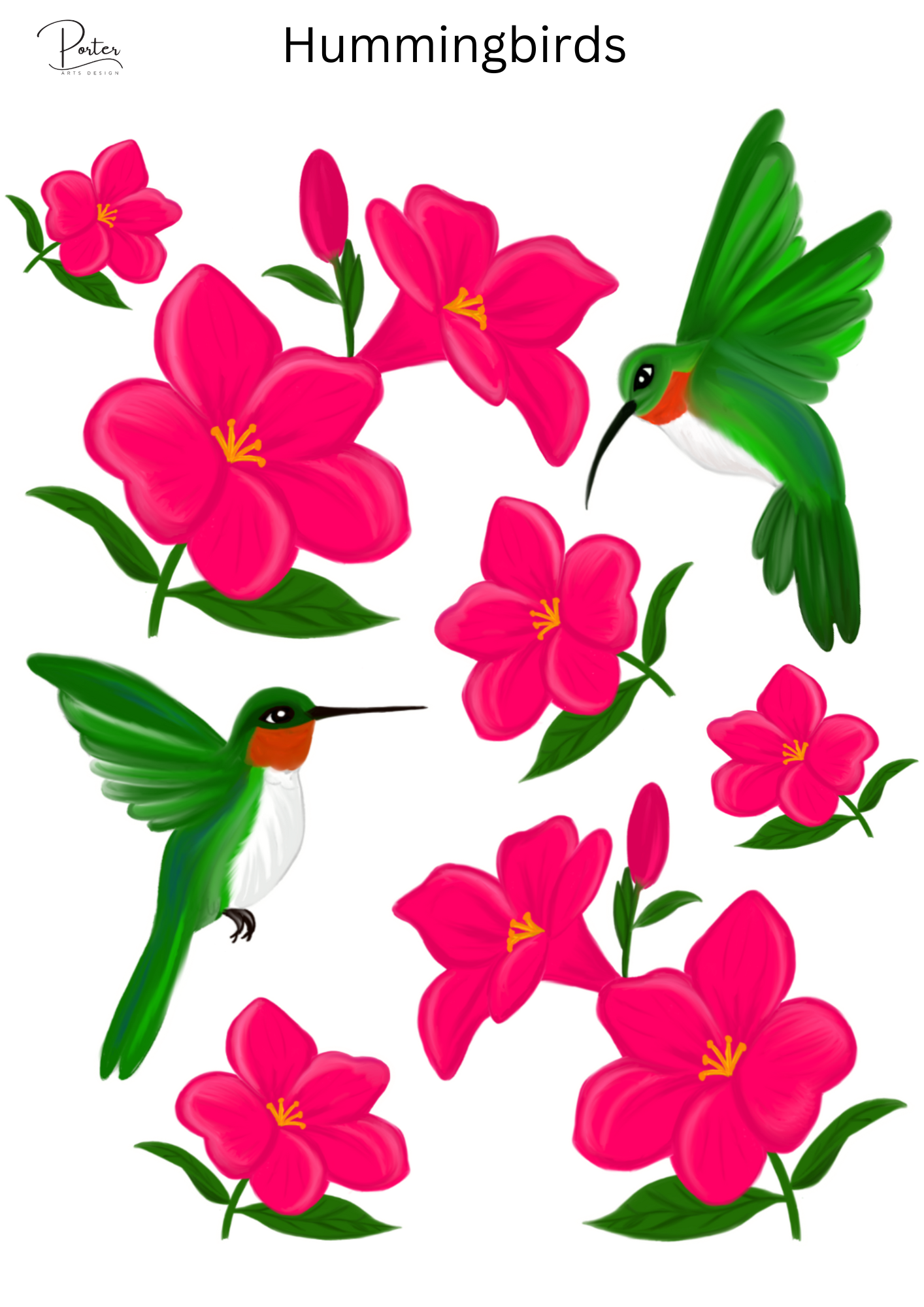 Hummingbird Printable Designs *PRINTABLE* Hummingbirds Sticker – Porter Arts Design