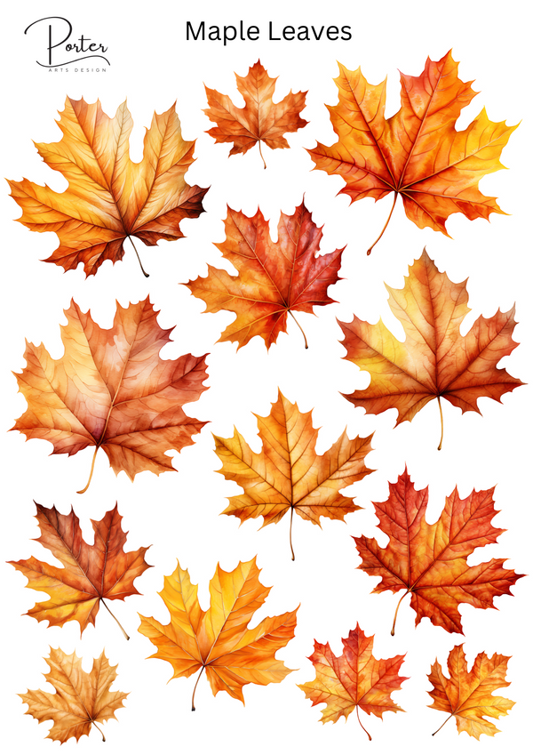 *PRINTABLE* Maple Leaves Sticker – Porter Arts Design