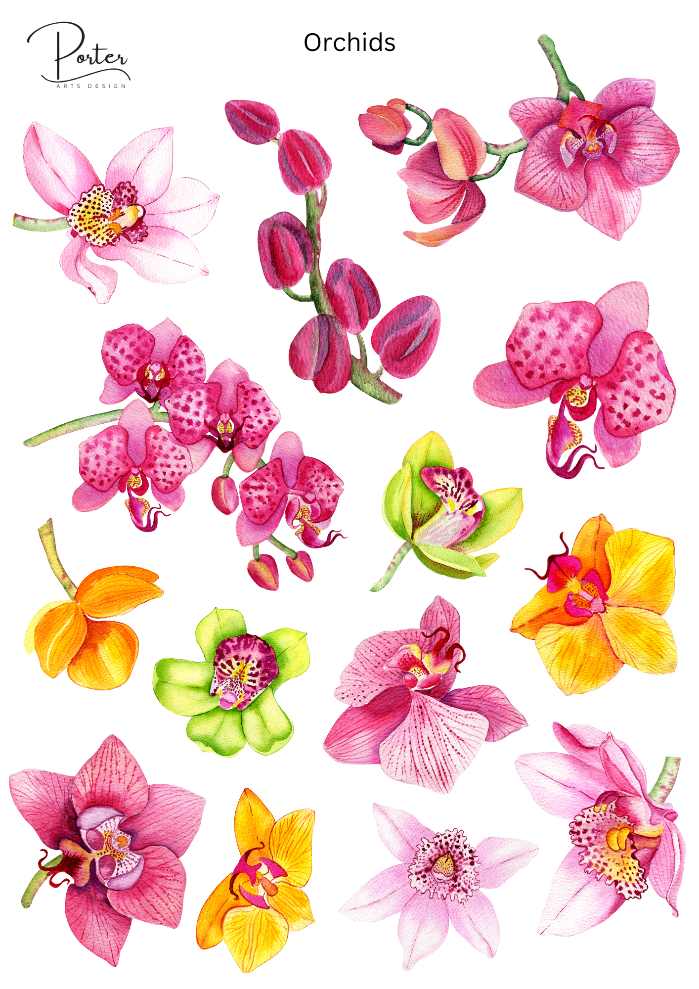 *PRINTABLE* Orchids Sticker