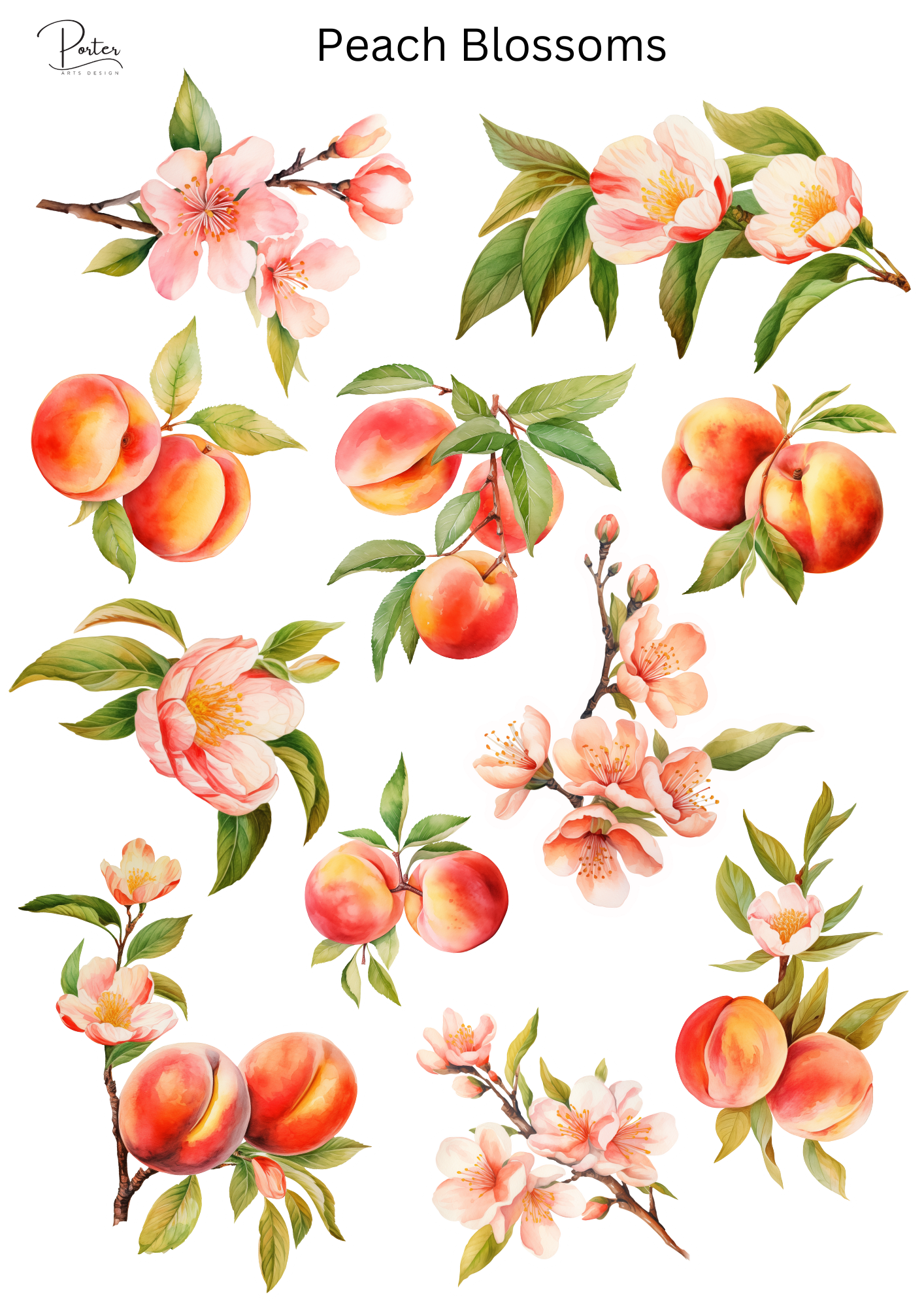 *PRINTABLE* Peach Blossoms Sticker – Porter Arts Design