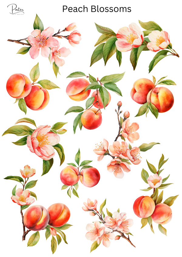 *PRINTABLE* Peach Blossoms Sticker – Porter Arts Design