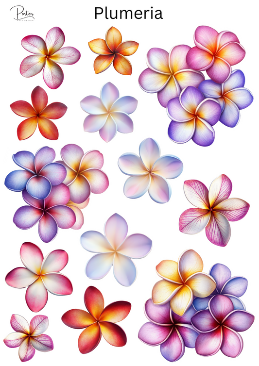 *TANGIBLE* Plumeria Sticker