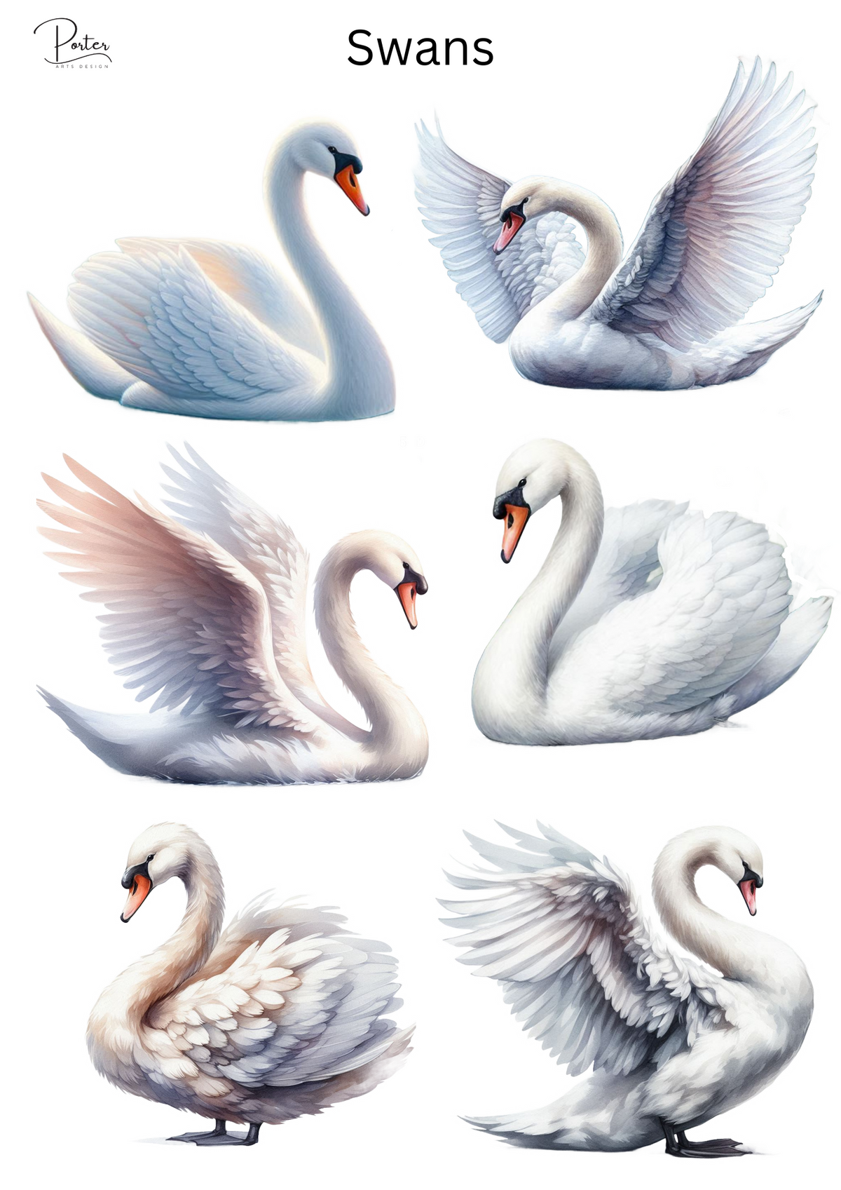 *PRINTABLE* Swans Sticker – Porter Arts Design